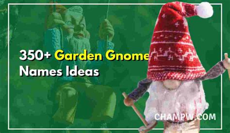 350 Garden Gnome Names That Are Cute Funny And Badass