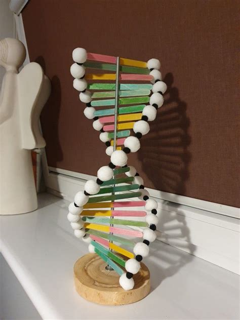 Top 10 Dna Model Project Ideas And Inspiration
