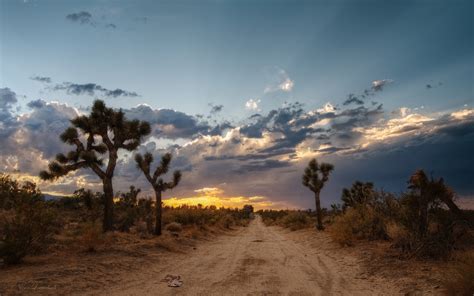 Cool Desktop Wallpaper Of Mojave Desert Image Of Mojave