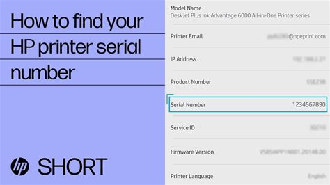 How To Find Hp Serial Number And Product Number Haiper