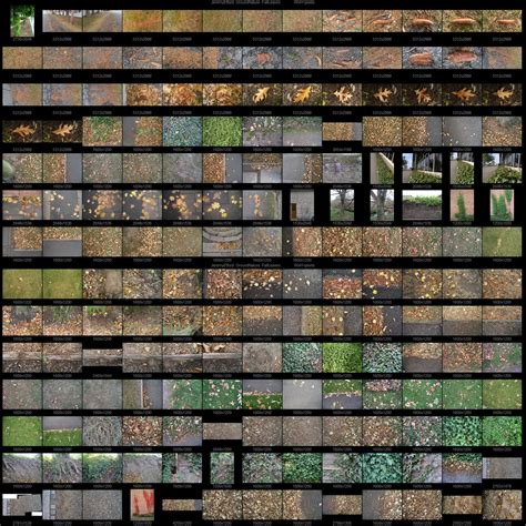 ArtStation - Ground Texture Reference 1 - Nature | Resources