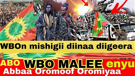 Oduu Wbo Shawaa Fi Harargeen Reebamaa Jirti Oromoo Kai Wbo Gaachena