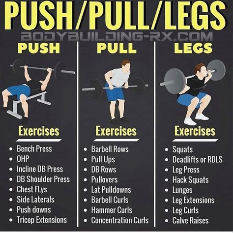 Push Pull Leg Exercises Push Pull Workout Push Pull Legs Workout