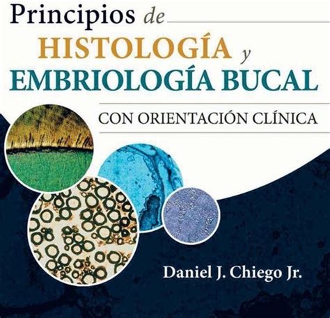 Álbumes 93 Foto Embriologia Humana Y Biologia Del Desarrollo Arteaga