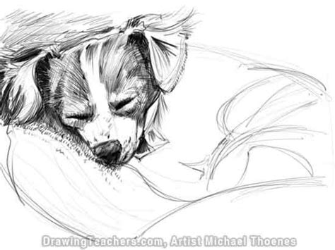 How To Draw A Dog Lying Down