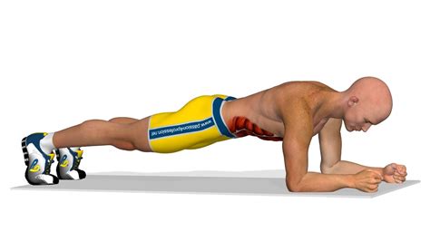 Rückentraining könnt ihr jederzeit zu hause machen, ihr braucht lediglich eine rutschfeste gymnastikmatte, damit der boden nicht so hart ist. Bauchmuskeln trainieren: Plank - YouTube