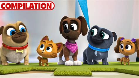 Best Of Puppy Dog Pals Season 5 51 Minutes Compilation Disney