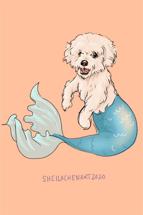 Mermaid Dog Drawing Dog Drawing Cartoon Character Design Custom Pet Art