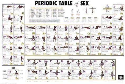 Amazon De Owng Periodic Table Of Sex Poster 36 X 24in