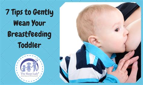 7 Tips To Gently Wean Your Breastfeeding Toddler Breastfeeding