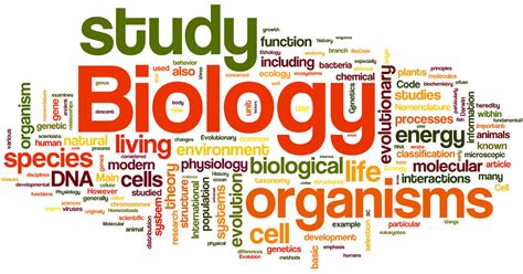 Biology Word Cloud Uta Science And Engineering Library Flickr