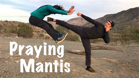 Real Praying Mantis Kung Fu Amazing Youtube