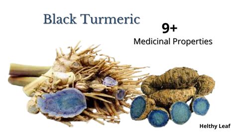 Black Turmeric Benefits 10 Ways To Fight Diseases Helthy Leaf