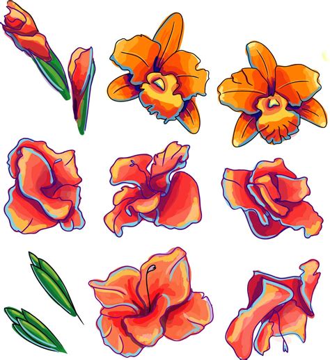 Orchid Flower Vector Set Free Download