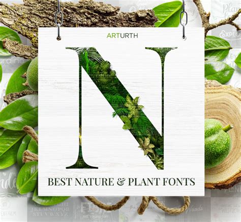 Nature And Plant Fonts The Ultimate Guide