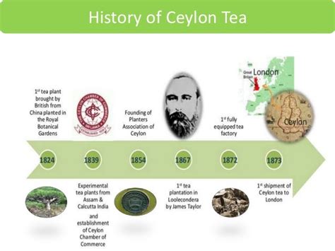 Ceylon Tea History