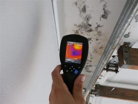 This article gives advice to home buyers and other people concerned about inspecting and testing for mold in a building where they live or work or a building to be purchased but where there is not already. Mold & Termite Inspections - Floridian Property Consultants