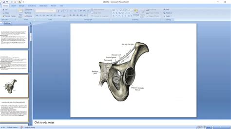 Anatomy Of Inguinal Ligament Youtube