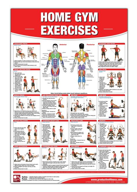 Kunst Professional Fitness Wall Chart Abdominal Exercises Abs Workout