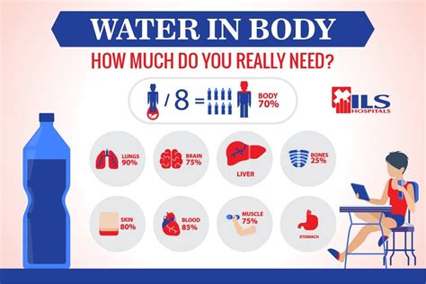 The Human Body Is Made Up Of 70 Water Know How Much Water You Need
