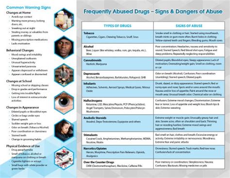Warning Signs Of Drug Abuse Pamphlet Primo Prevention