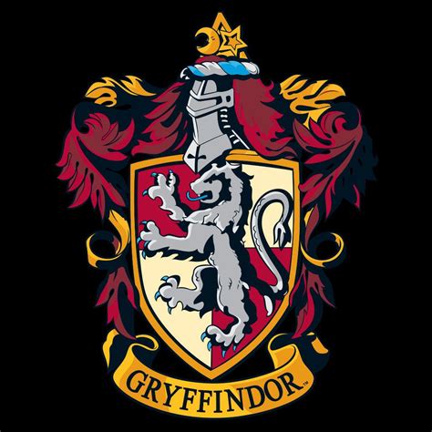 T Shirt Harry Potter Gryffindor Quidditch Team Legend Icon