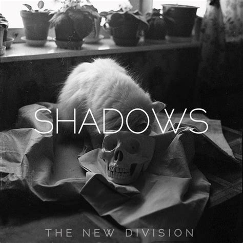 Shadows — The New Division Lastfm