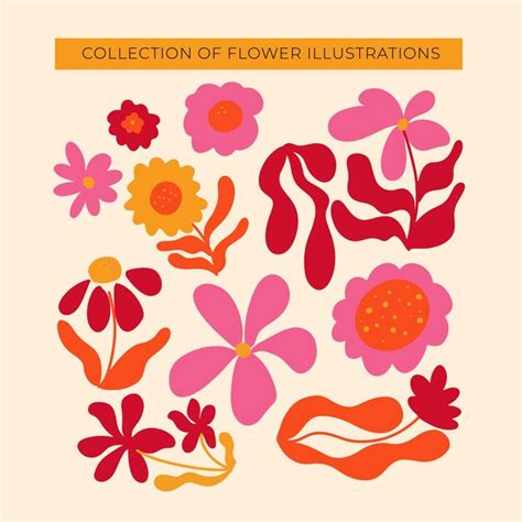 Colección De Ilustraciones De Flores Vector Premium