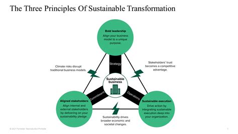 The Three Principles Of Sustainable Transformation Bpi The