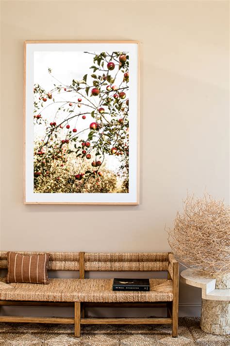Country Apples Photographic Print By Kara Rosenlund