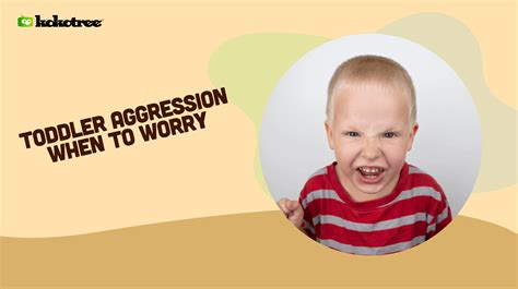 Toddler Aggression When To Worry Kokotree