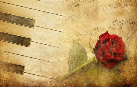 Wallpaper Flower Rose Red Rose Piano Red Vintage Music Images For