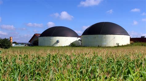 biogas-digester - Experts in Oil and Fuel Purification Experts in Oil and Fuel Purification