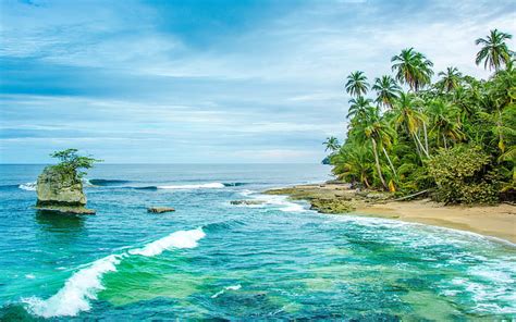 HD wallpaper: Costa Rica Wild Caribbean Beach In Manzanillo Sandy Beach ...