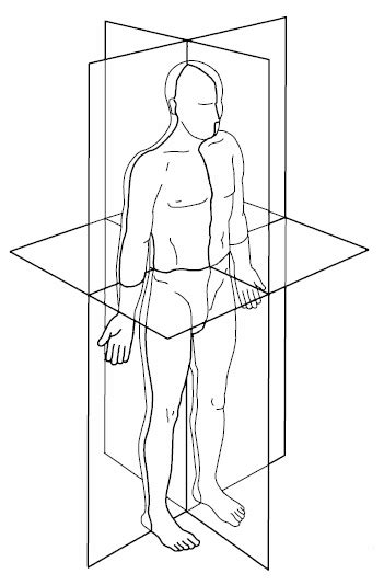 Blank Anatomical Position Human Body Diagram Human Body Diagram Blank