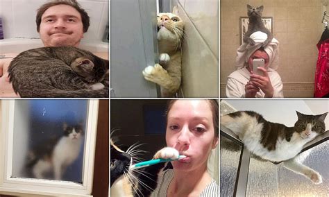 Hilarious Snaps Capture Cats With Very Little Regard For Owners Space