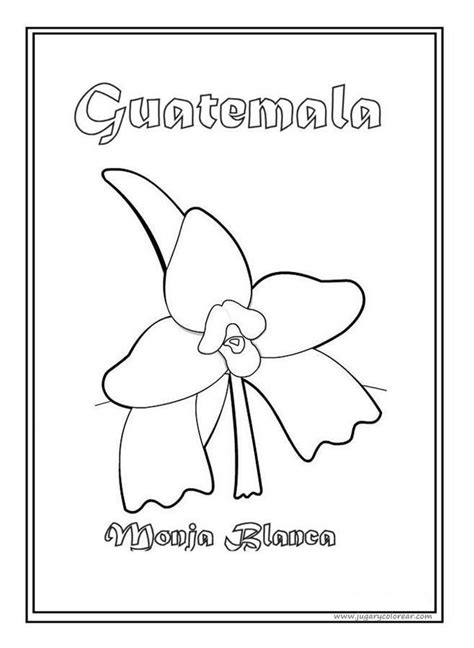 National Symbol Monja Blanca White Nun Flower Coloring Page Independenceday P Ginas Para