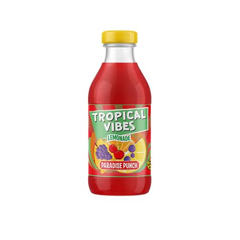 Tropical Vibes Paradise Punch Ml Sunkissed Foodz