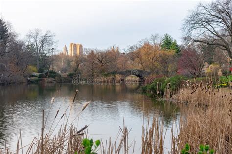 The Pond At Central Park In New York City During Spring With Colorful