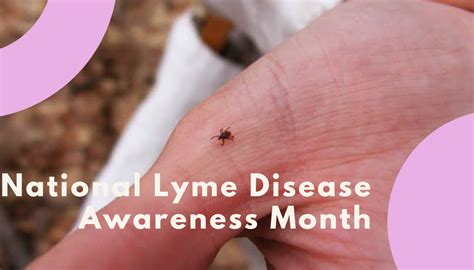 National Lyme Disease Awareness Month May 2023 Us