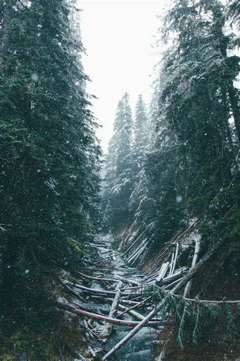 Banshy First Snowfall By Dylan Furst