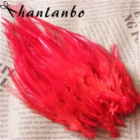 Buy Rooster Tail Feather 500pcslot Height 6 8 15 20cm Rooster Feathers