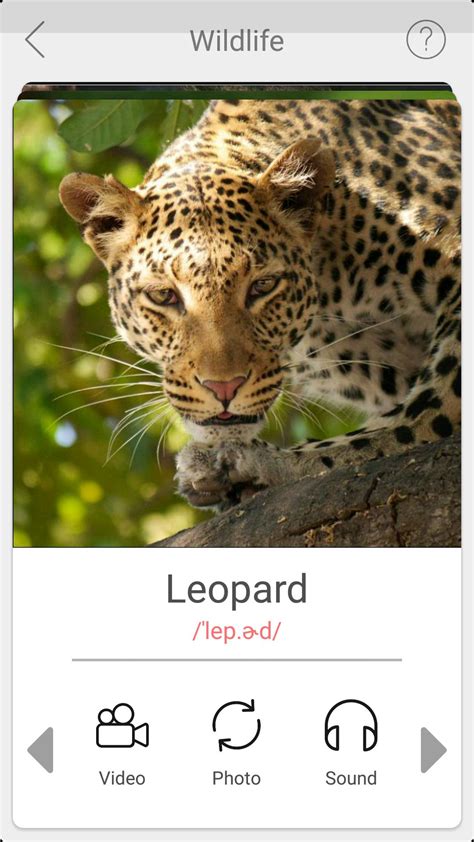 Learn Animals Name And Sounds For Children For Android