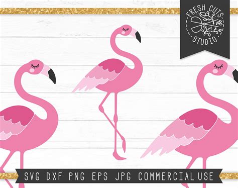 Flamingo Svg Design For Cricut Silhouette Instant Download Etsy