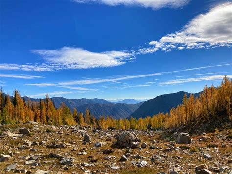 Top 12 Golden Larch Hikes In Washington State Ordinary Adventures