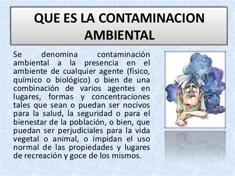 Contaminaci N Ambiental Tipos Y Caracter Sticas Cuadro Sin Ptico