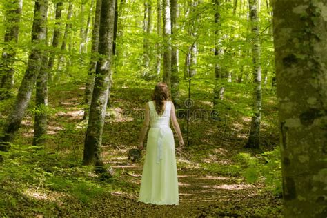 Bride In White Dress Walking Through The Spring Forest In La Fageda D