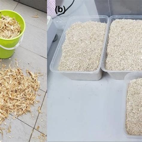Physical And Mechanical Properties Of Sugarcane Bagasse Fiber