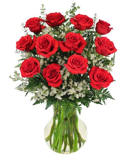 Red Roses And Wispy Whites Classic Dozen Roses In Waldoboro Me