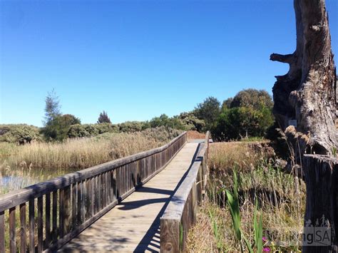 Greenfields Wetlands Nature Trail Walking Sa